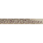 logo Les Belles Figurines - Point de visite des cheminées B. Cailliau