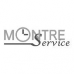 logo Montre service EVRY