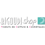 logo Bigoudi shop Draguignan