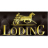 logo Loding