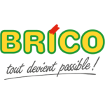 logo Brico ARLON