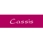 logo Cassis ERPENT