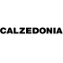 logo Calzedonia