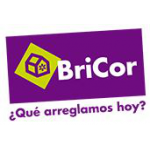 logo BriCor Valencia Pintor Maella