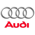 logo Audi RUAUDIN ZAC DES HUNAUDIERES