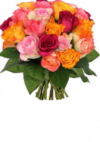 Bouquet de roses : 20 roses multicolores à 22€ - Florajet