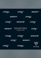 Roadsters Range 2019 - Triumph