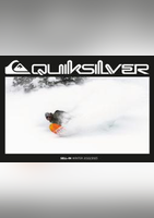SNOWGOOGLES - Quiksilver