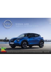 Prospectus Nissan Prunelli Di Fiumorbo : Nissan Juke