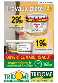 Prospectus Tridôme PUY EN VELAY : Travaux d'été 2