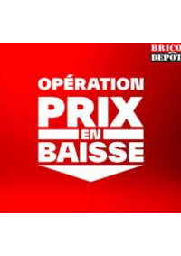 Prospectus Brico Dépôt AUXERRE : Operation prix en baisse