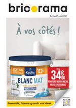 Promos et remises  : Catalogue D'août Bricorama