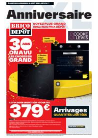 Prospectus Brico Dépôt ST HERBLAIN : Anniversaire