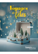 Promos et remises  : Voyages de fêtes 2024-2025