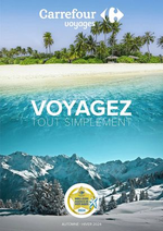 Prospectus Carrefour Voyages : Voyagez Tout Simplement