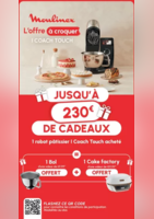 Moulinex vous offre 1 bol et 1 cake factory - Boulanger