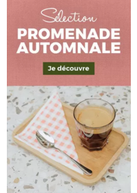 Prospectus Armand Thiery ALES : Sélection Promenade Automnale