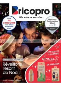 Prospectus Bricopro LE BLANC : Réveillon l'esprit de Noël