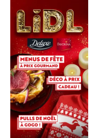 Prospectus Lidl RIBERAC : Lidl Le Mag de Noël