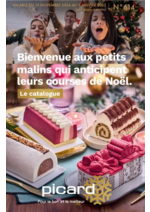 Prospectus Picard : Bienvenue Aux Petits Malins Qui Anticipent Leurs Courses De Noël