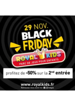 Promos et remises  : Black Friday