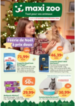 Prospectus  : Féérie de Noël à prix doux