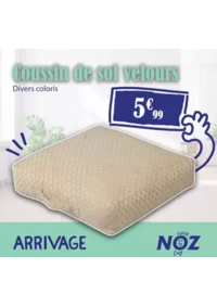 Prospectus NOZ : Coussin de sol velours