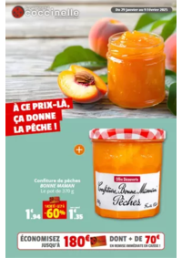 Prospectus Coccinelle Supermarché ARMENTIERES : À CE PRIX-LÀ, ÇA DONNE LA PÊCHE !