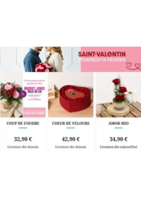 Prospectus Florajet BAR SUR AUBE : Livraison bouquet de fleurs Saint Valentin