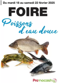 Prospectus Promocash Vesoul : Foire poissons d'eau douce