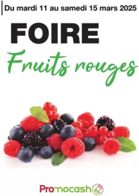 Prospectus Promocash Vesoul : Fruits rouges