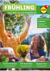 Prospectus Lidl Aarberg : Frühling - DE