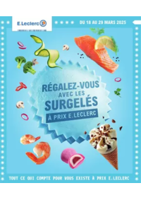 Prospectus E.Leclerc ANET : SURGELES - DIGITALE - MIXTE