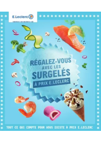 Prospectus E.Leclerc VAUDRY : SURGELES - DIGITALE - MIXTE