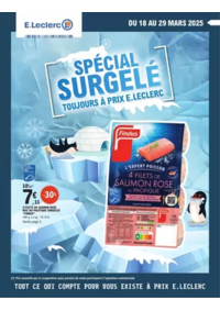 Prospectus E.Leclerc SALOUEL : SURGELES - DIGITALE - MIXTE