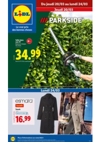 Prospectus Lidl AMILLY : Retrouvez tout l'essentiel pour entretenir vos espaces verts chez Lidl