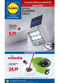Prospectus Lidl BOIS D'ARCY : Accessoires, décorations, rangements, retrouvez les indispensables chez Lidl