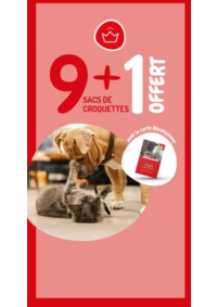 Prospectus Médor & Compagnie Saint-Étienne : 9 + 1 offert