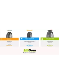 Prospectus Siligom ST QUENTIN SUR LE HOMME : SILIGOM promotiones