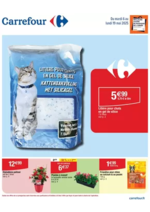 Promos et remises  : Bon plan