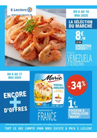 Prospectus E.Leclerc LYON : TRAFIC POUVOIR ACHAT 6 - MIXTE