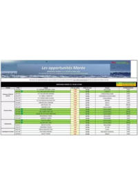 Prospectus Promocash Ville la Grand : Les opportunités Marée