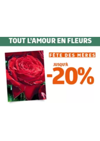 Prospectus Jardiland BESSONCOURT : Notre offre végétal spéciale fête des mères