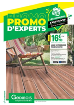 Prospectus Gedibois : Promos d'experts