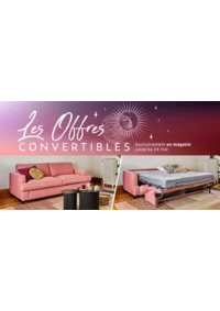 Prospectus Grand Litier ORVAULT : Les offres convertibles