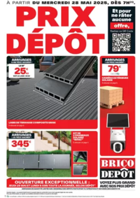 Prospectus Brico Dépôt ROANNE : Voyez plus grand avec nos prix dépôt !