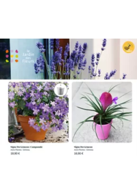 Prospectus Le Jardin des Fleurs CHERBOURG : Astro Plantes : Gémeau