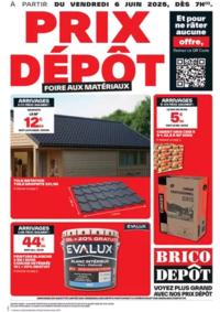 Prospectus Brico Dépôt CANNES ECLUSE : Foire aux matériaux !