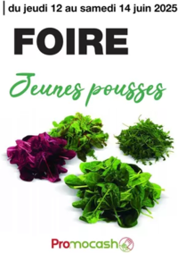 Prospectus Promocash Ville la Grand : Catalogue Promocash