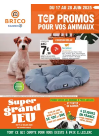 Prospectus Brico E.Leclerc MONTARGIS : Trafic Animalerie 6